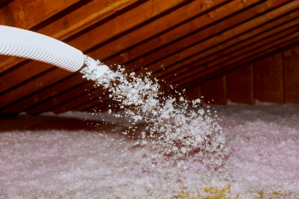Best Cellulose Insulation in Skidway Lake, MI
