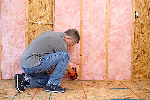 Best DIY Insulation Kits and Guidance in Skidway Lake, MI